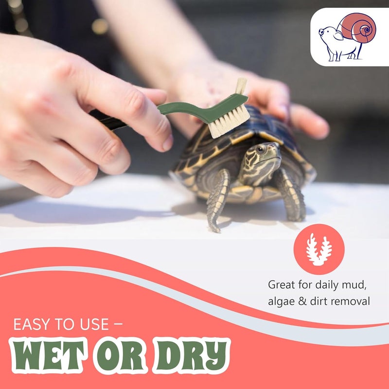 Snout and Shell Turtle Cleaning Brush Remove Aquatic Mud, Dirt, & Contaminants from Tortoises Shells & Promoting Shell Health - Goat Hair Bristle Brush with Grip Rubber Handle - White by - Image 4